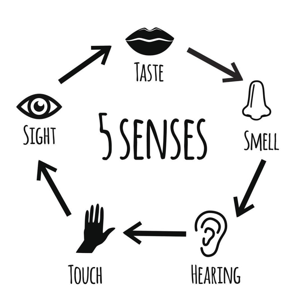 Five senses.